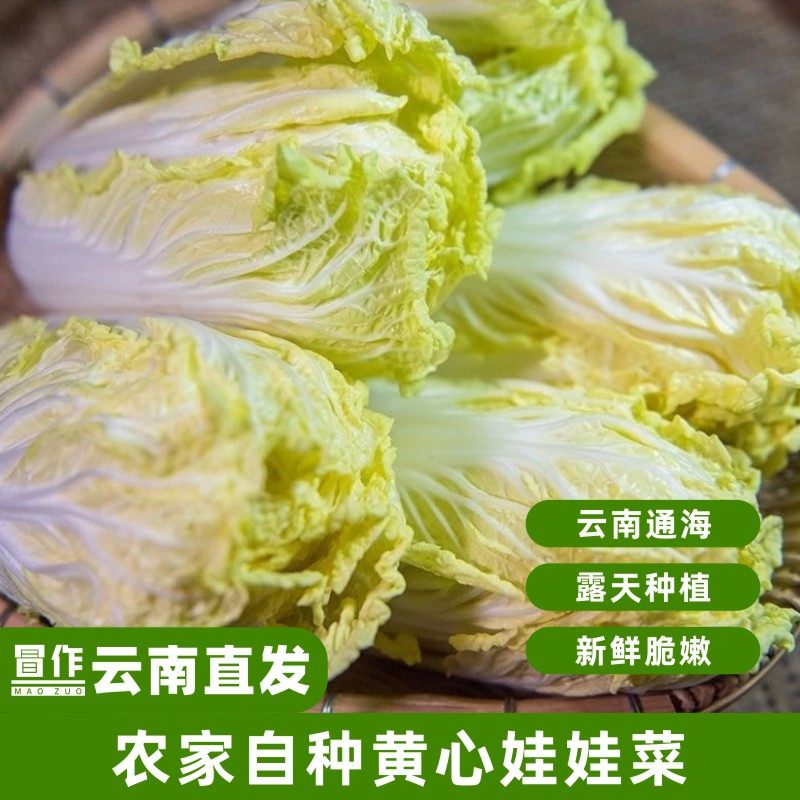 新鲜娃娃菜现砍高山娃娃菜黄芽白菜时令火锅蔬菜云南合作社直发,水产肉类/新鲜蔬果/熟食,叶菜类,淘宝优惠券,粉丝福利购,淘宝优惠卷
