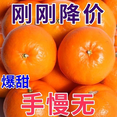 【超级低价】正宗沃柑橘子无籽桔子新鲜采摘水果整箱包邮爆汁现摘