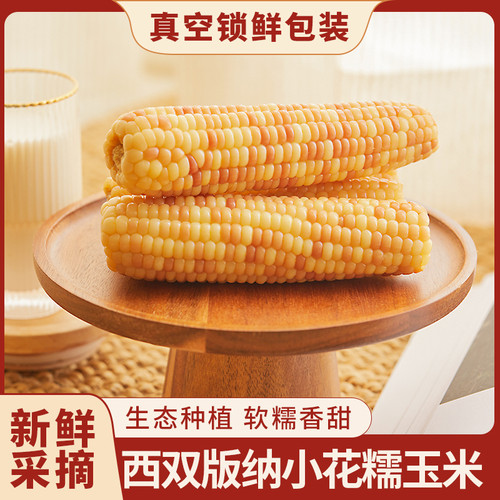云南版纳小糯玉米香糯玉米真空低脂代餐即食软糯玉米粗粮花糯玉米