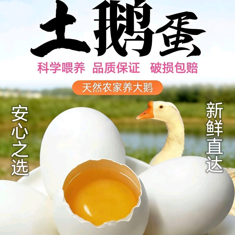 农家正宗散养土鹅蛋新鲜鹅蛋天然健康孕妇月子宝宝儿童老人营养蛋