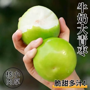 包邮 现摘云南牛奶青枣当季 新鲜水果苹果枣贵妃冬枣蜜枣整箱5斤