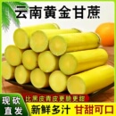 云南手剥黄金甘蔗新鲜当季 水果黄皮青皮黑皮甘蔗现砍脆甜多汁