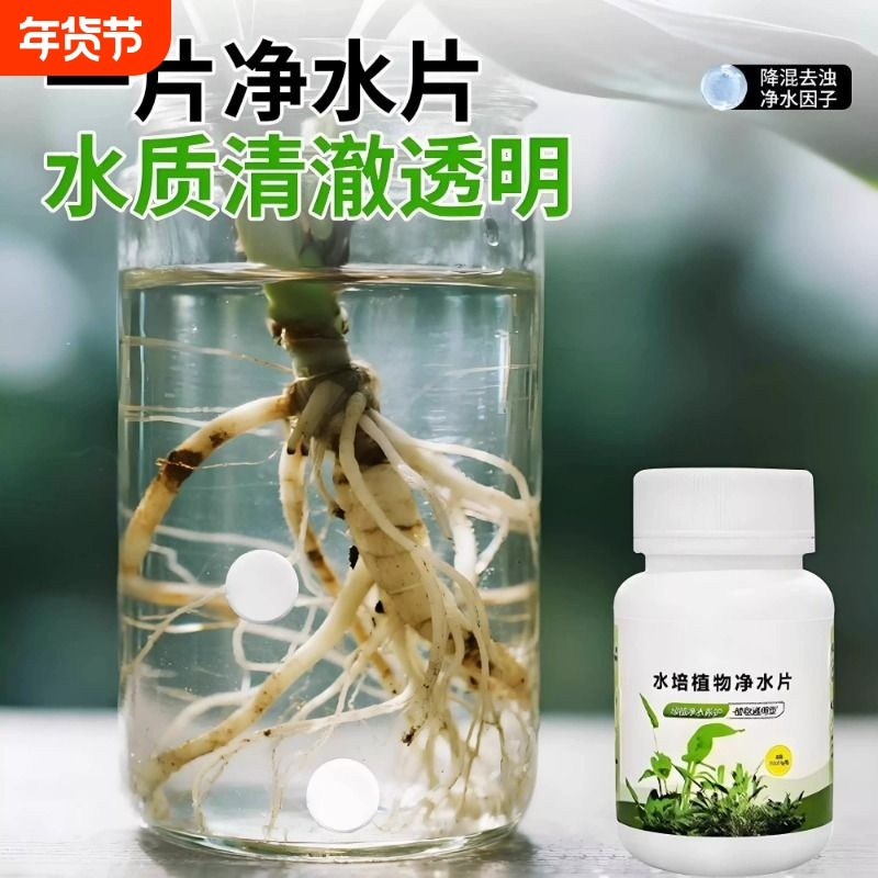 水培植物净水片鲜花花卉保鲜剂不专用杀菌消毒片净化水质黄叶水溶,鲜花速递/花卉仿真/绿植园艺,家庭园艺肥料,淘宝优惠券,粉丝福利购,淘宝优惠卷