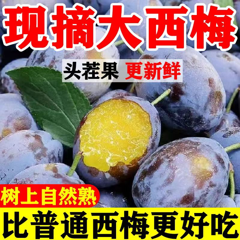 【新鲜西梅】大西梅当季新鲜应季当季孕妇水果精品彩箱整箱包邮