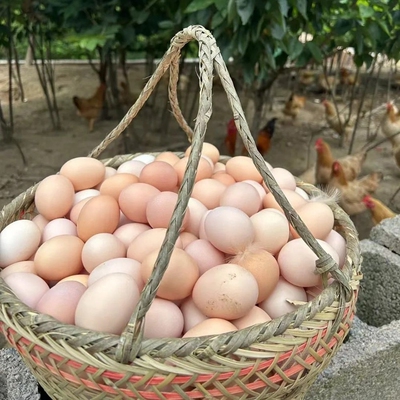 九华山散养土鸡蛋30枚可生食产地直发新鲜送货上门净重1200g