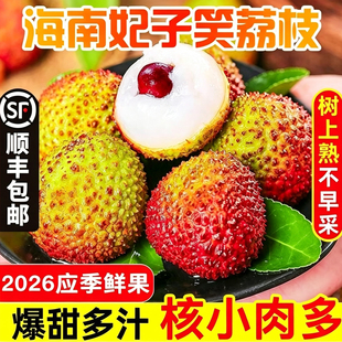 【顺丰包邮】海南妃子笑荔枝新鲜水果产地直发当季老树果清甜爆汁