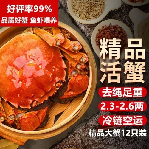 苏州鲜活大闸蟹高端礼盒装