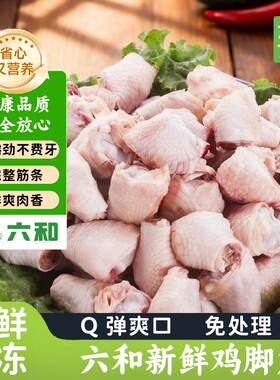 六和鲜冻鸡拐骨鸡肘鸡凤根鸡关节带骨鸡脚筋鸡爪相关食材冷冻新鲜