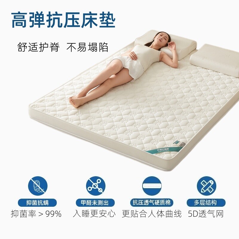 四季款床垫家用软垫褥铺地图片