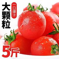 云南正宗圣女果小西红柿孕妇新鲜水果当季沙瓤现摘小番茄蔬菜