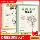 花卉动物速写描摹本零基础画画入门新手自学教程书籍线描临摹手绘初学者学绘画教材铅笔画素描画稿水彩