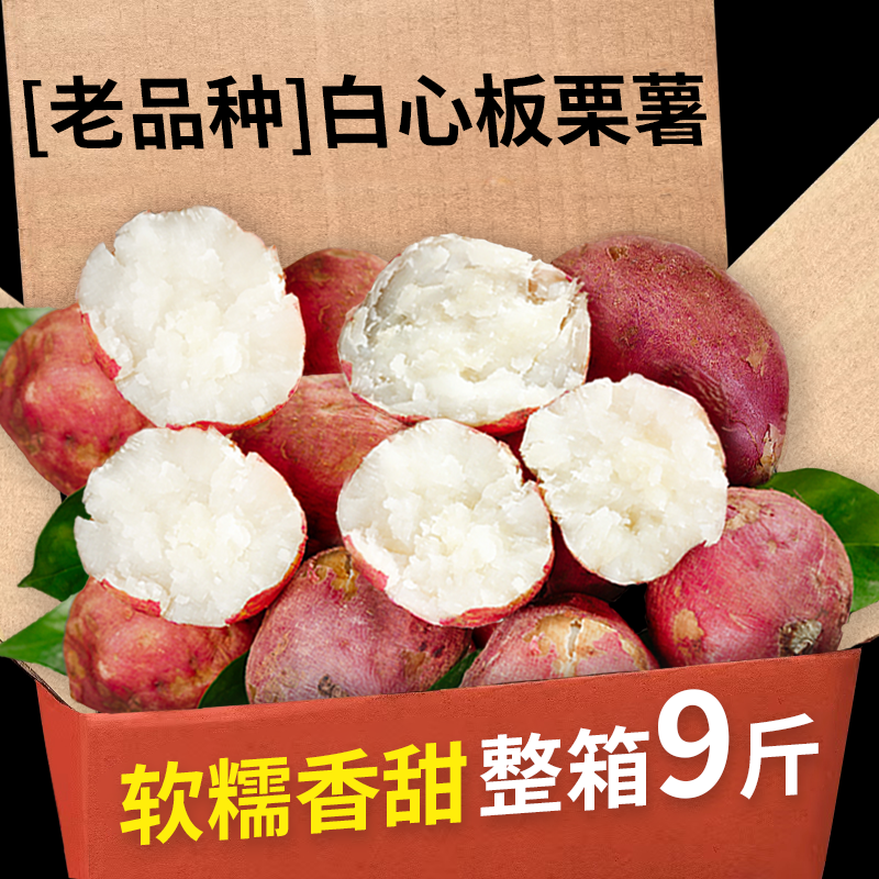 白心板栗薯中果种薯新鲜白心红薯白瓤地瓜干粉香糯白薯粉面干甜