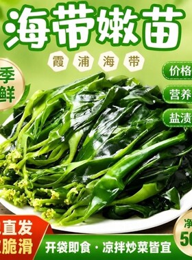 工厂直供盐渍海带苗嫩苗五斤整箱袋装凉拌火锅商用批发餐饮食堂