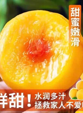 现摘锦绣黄桃新鲜水果当季桃子软硬两吃多汁孕妇毛桃水蜜桃包邮