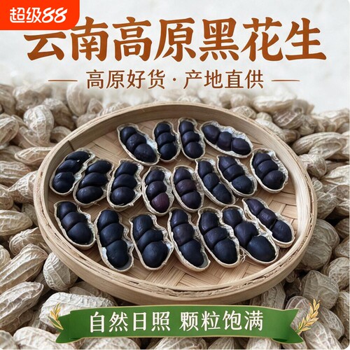 云南黑花生带壳富硒晒干特产2026年黑皮花生米七彩健康大粒新货