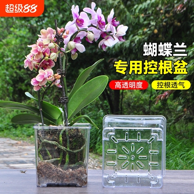 加高透明树脂塑料正方形花盆透气控根蝴蝶兰洋可视观察植物根系