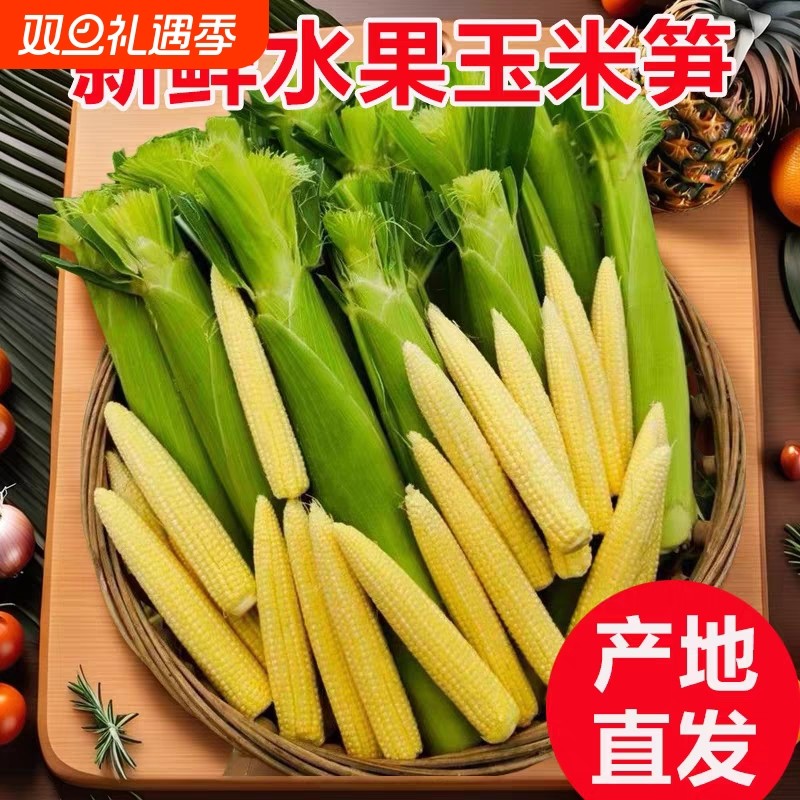 新鲜玉米笋串串专用麻辣烫火锅炒菜脆嫩迷你带皮苞谷玉米芯现发