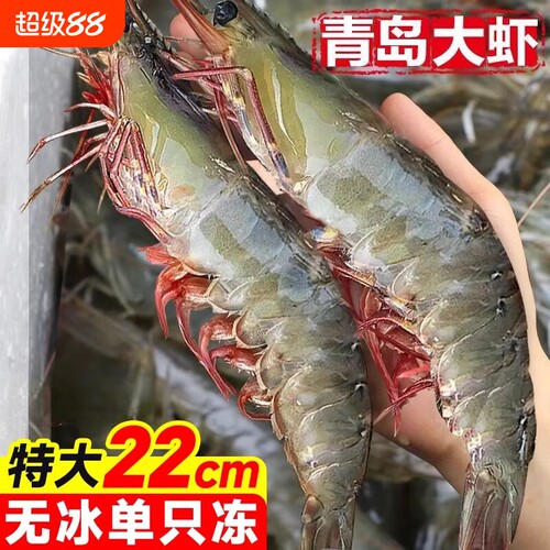 正宗青岛海捕大虾特大20/30