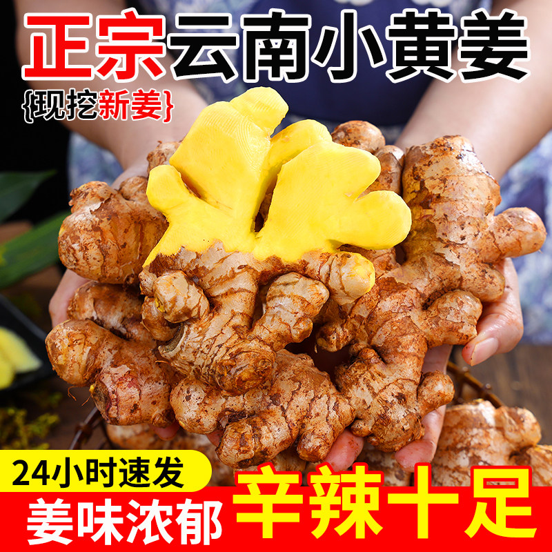 正宗云南小黄姜新鲜现发生姜老姜批发沙姜蔬菜嫩姜仔当季整箱包邮