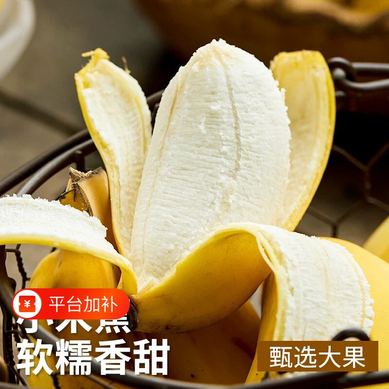 香蕉广西小米蕉当季新鲜水果自然熟小香蕉香甜芭蕉皇帝蕉整箱现摘