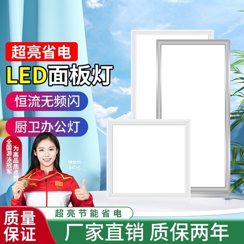 300x600LED平板灯厨房卫生间