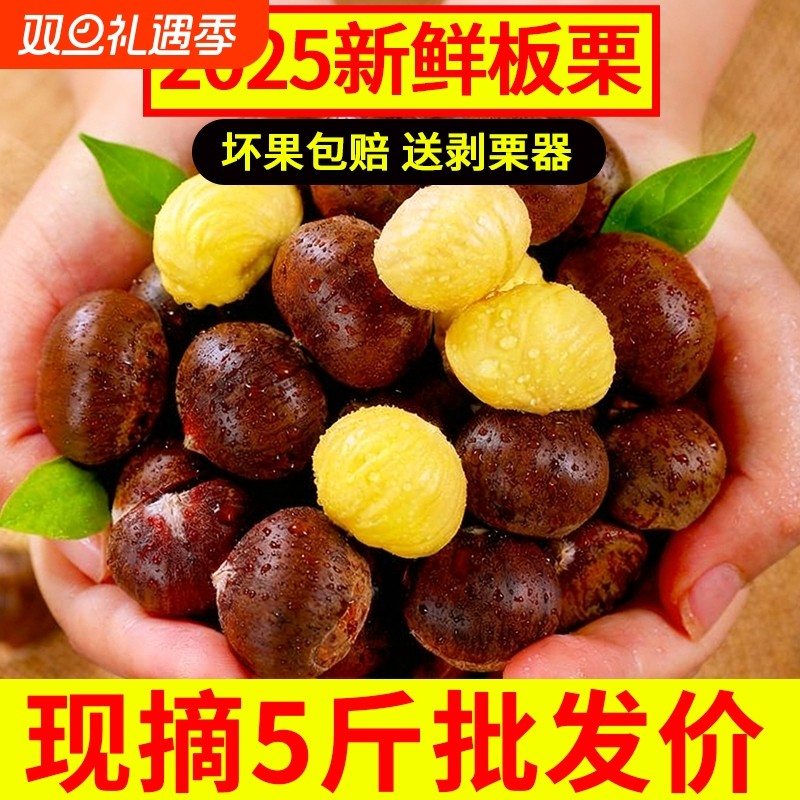 2025新鲜丹东生板栗当季板栗生新鲜栗子新下树5嫩油野栗大板栗仁