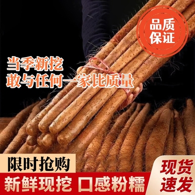 正宗铁棍山药垆土种植现挖现发新鲜采摘整箱五斤淮山药小白嘴山药