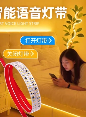 鼎雁床头氛围调光灯带卧室led灯条背景墙电视柜悬浮220v语音开关