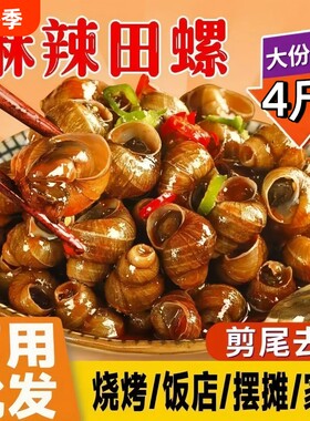 麻辣田螺开袋即食香辣嗦螺夜宵炒螺丝小零食儿时解馋螺蛳肉商用