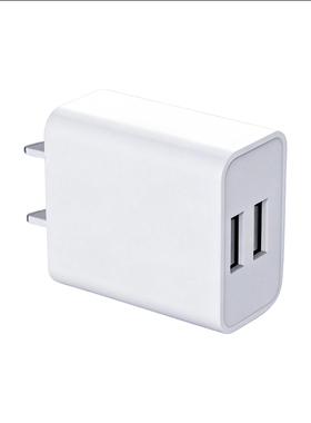 单个装5V2.1A双口USB充电头适用手机风扇台灯