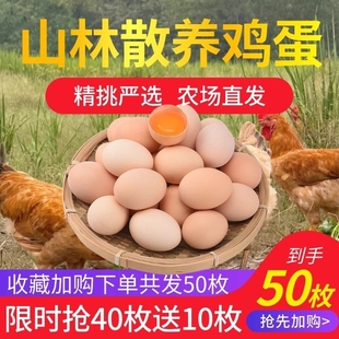 农场直发家庭装 鲜鸡蛋全家共享优级鲜鸡蛋臻选好蛋30枚50枚家庭装