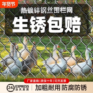 不生锈的铁丝网格镀锌钢丝网围栏菜园护栏网家用养鸡防护养殖铁网