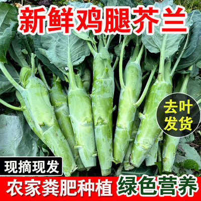 新鲜甜脆鸡腿芥兰蓝菜苔菜心头农家自种时令有机冷门霜降当季蔬菜