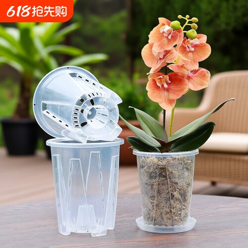 透明青山控根盆蝴蝶兰专用花盆兰花水苔塑料透气镂空大号家用