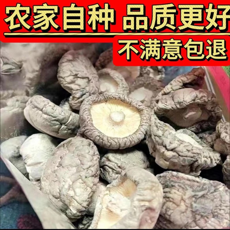 香菇干货批发香菇之乡随州产地直销当季新货香菇冬菇蘑菇菌菇煲汤