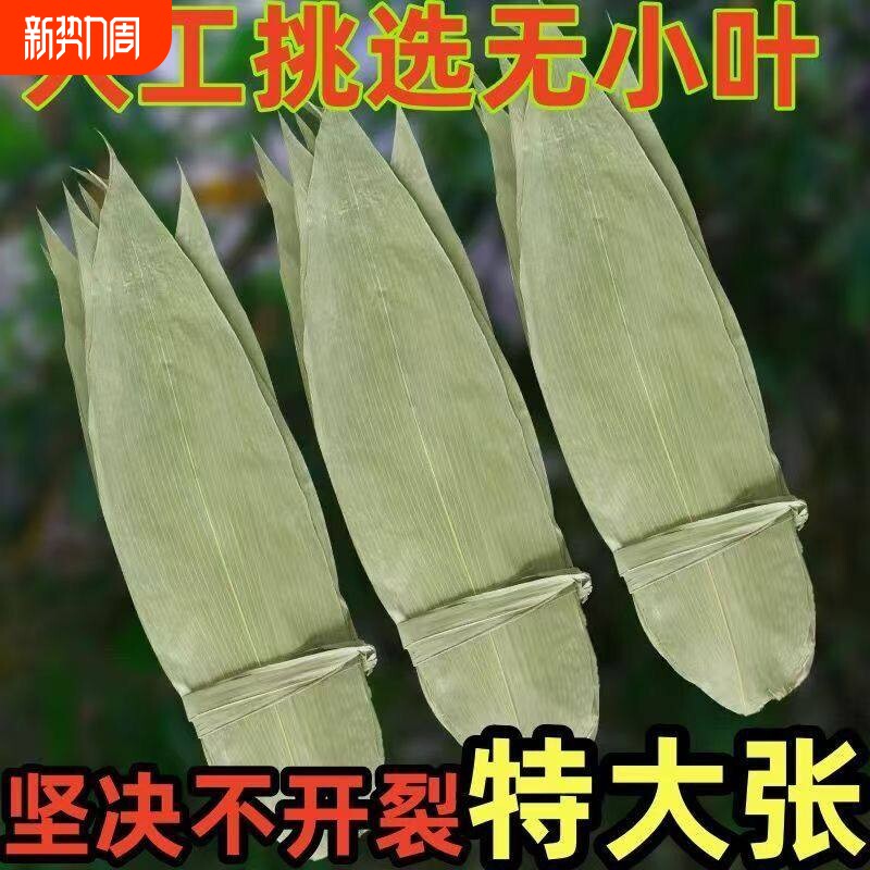 特大号野生干粽叶新鲜包粽子箬叶端午必备粽叶干大号家用粽子叶干