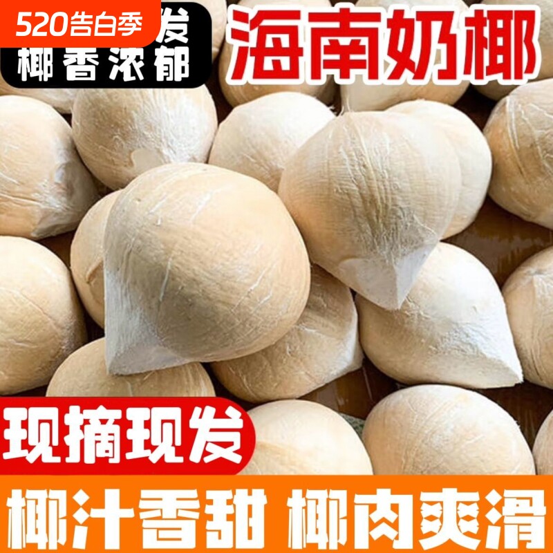 海南正宗牛奶椰皇新鲜椰子现摘直发三亚奶椰椰青椰子水果一整箱
