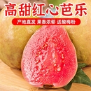 芭乐红心软心水果新鲜 整箱低糖泡果汁巴乐胭脂红番石榴软糯 包邮