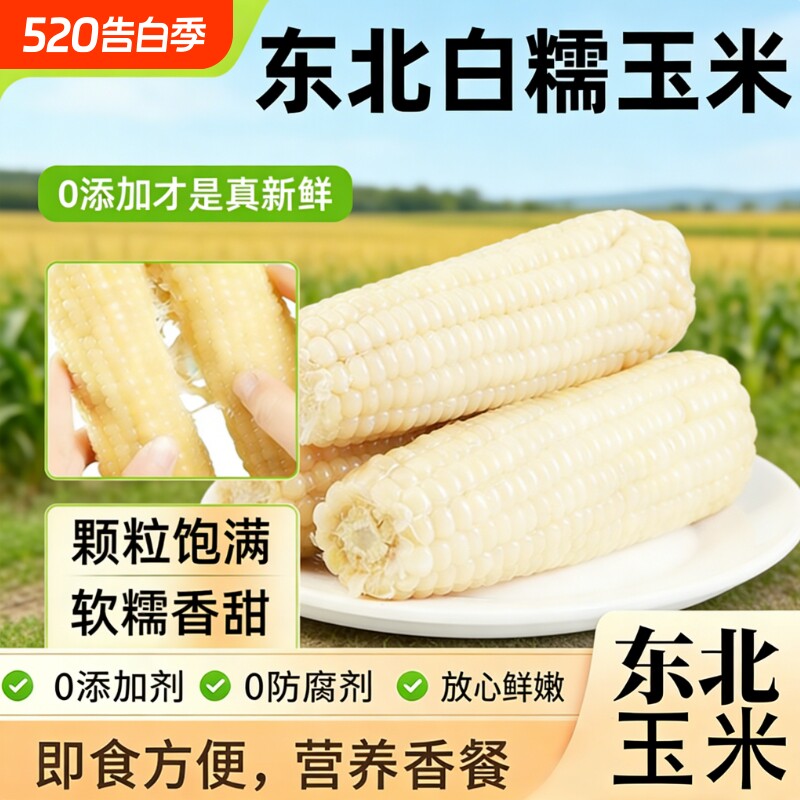 【新货头茬玉米】东北白糯玉米甜糯玉米真空装加热即食新鲜玉米棒