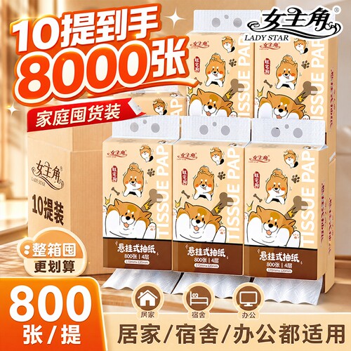 800张悬挂式抽纸便携纸巾