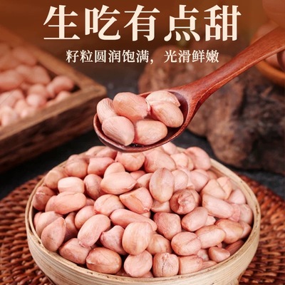 农家种植南阳饱满白沙花生米大白沙新货生花生米农家大粒花生仁