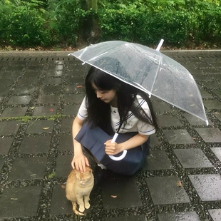 白色户外婚礼拍照结婚专用透明雨伞长柄网红求婚道具diy两用手动