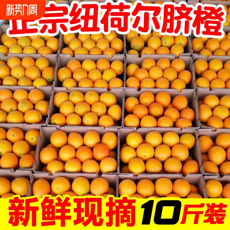 正宗脐橙10斤包邮当季新鲜水果湖南纽荷尔橙子整箱手剥橙大果自提