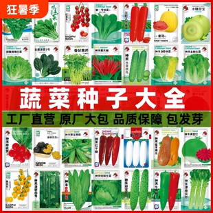 蔬菜种子多季播辣椒西瓜籽孑香菜春季蔬菜大全菠菜四季豆番茄白菜