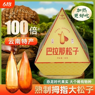 巴拉那松子云南特产新货坚果干果原味休闲零食独立包装80g/盒送礼