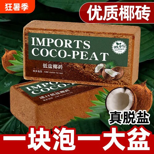 【七天内超万人加购】椰砖