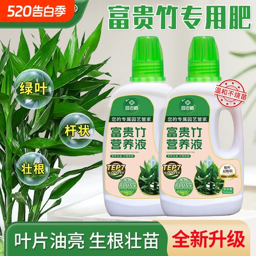 【温和高效】富贵竹专用新款肥料