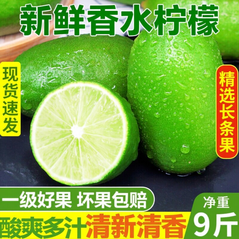广东香水柠檬新鲜一级果应当季水果海南无籽青柠檬奶茶店专用9斤