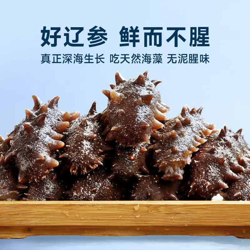 海参滋补辽宁大连正宗原产地直发