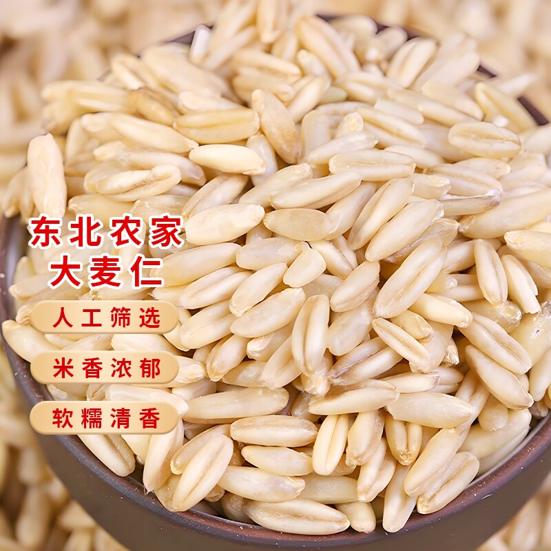 东北大麦仁米5斤当季新米农家粗粮颗粒饱满去皮煮粥优质杂粮麦仁